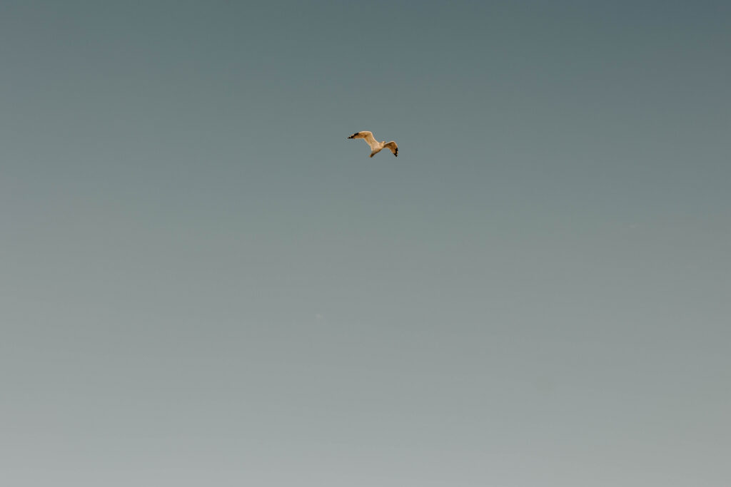 Utah Wedding Photographer at The Great Saltair, Engagement Photos in Utah, Wedding Photographer Utah County, Beach Engagement Photo Ideas, Utah Couples Photos